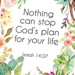 Meet your Posher, Davina